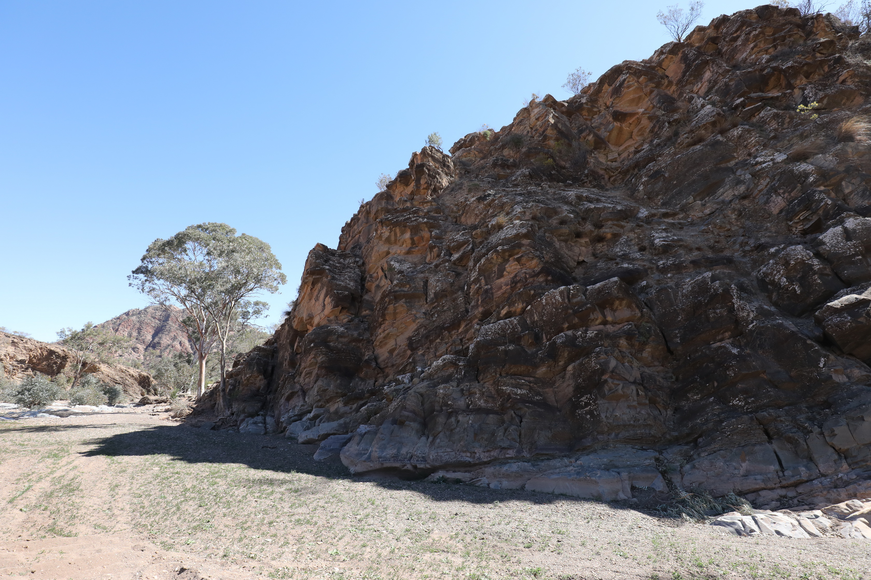 2019 09 01 12 26 33 Canon EOS 5D Mark IV 0014